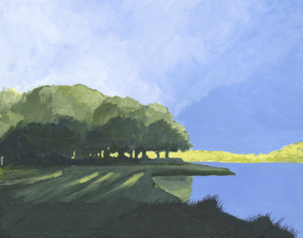 Morning Light