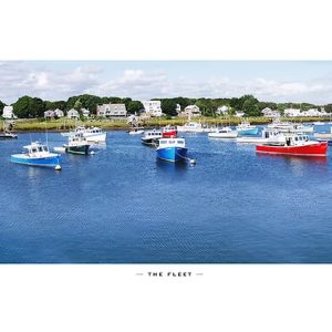 Chris Lewis -The Fleet