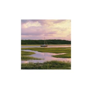 Passive Repose - Image 5